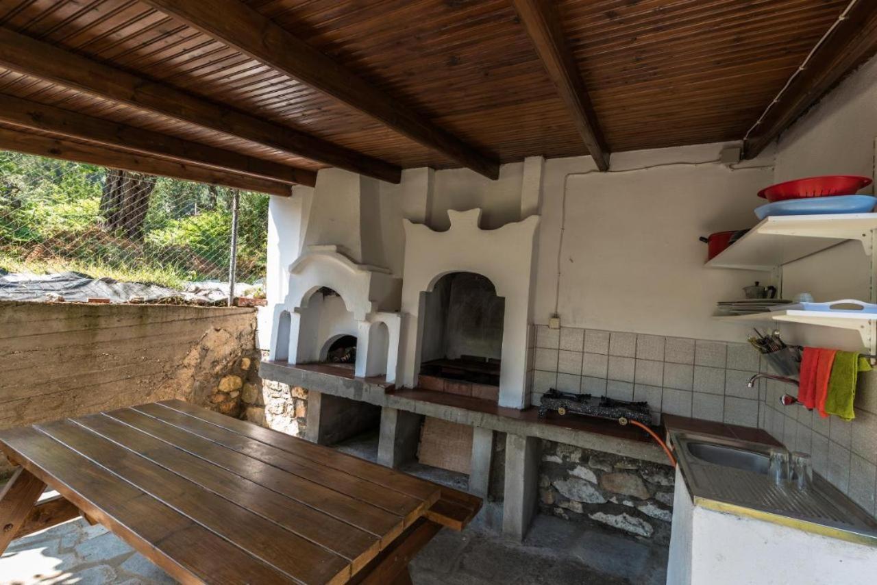 Apartment Olive And Skala Potamia (Thasos)